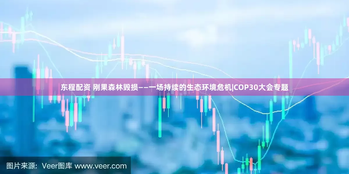 东程配资 刚果森林毁损——一场持续的生态环境危机|COP30大会专题