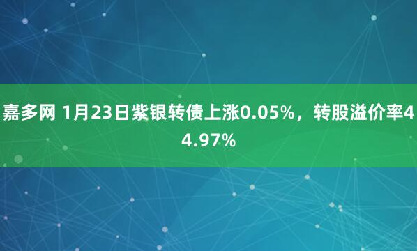 嘉多网 1月23日紫银转债上涨0.05%，转股溢价率44.97%